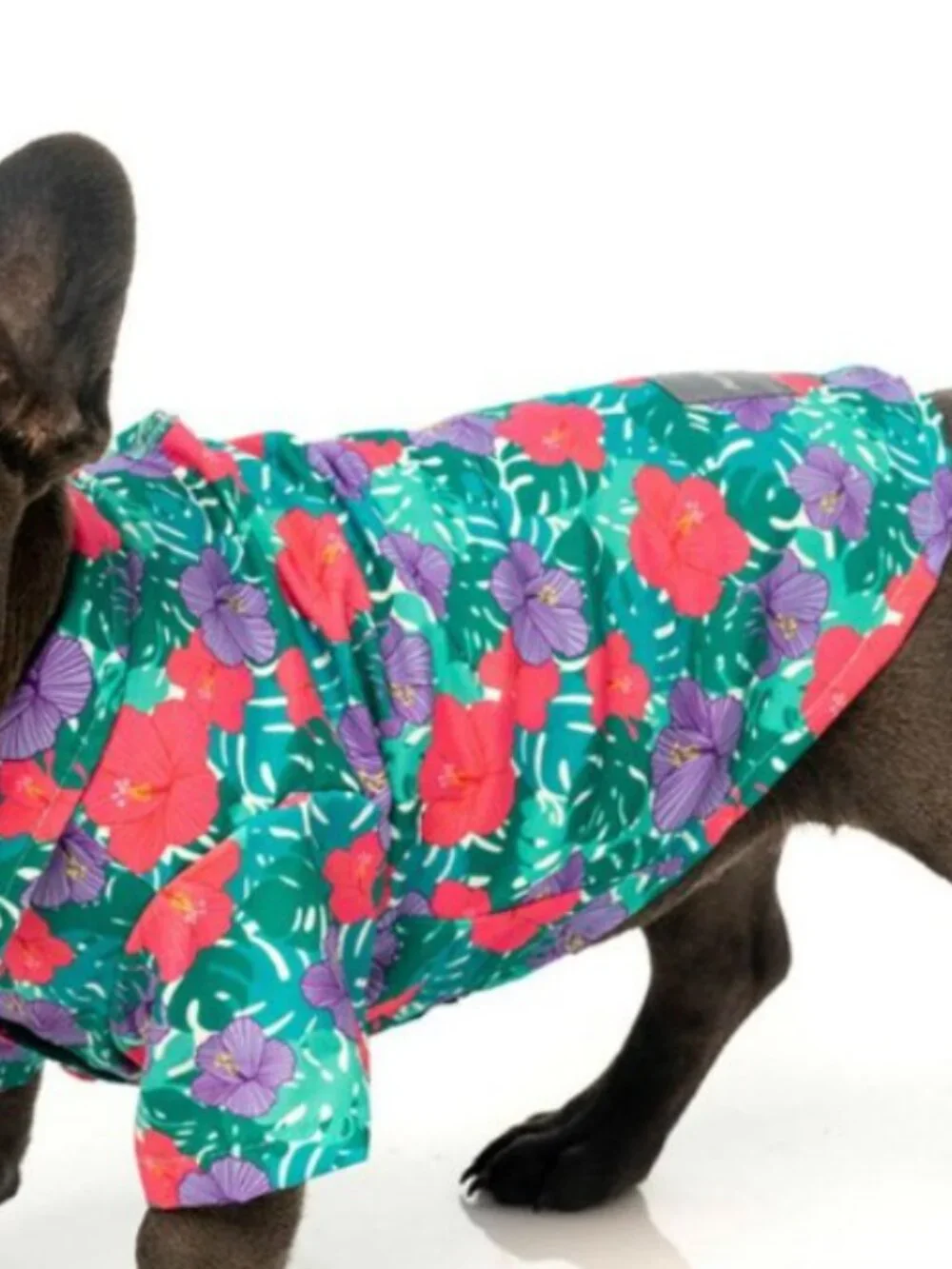 FuzzYard Lahaina Hawaiian Dog Shirt Size 6